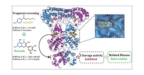 rnase inhibitor removal